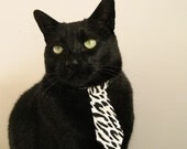 开云体育官方网入口-新疆男篮通过科学训练减少伤病发生,新疆男篮重建