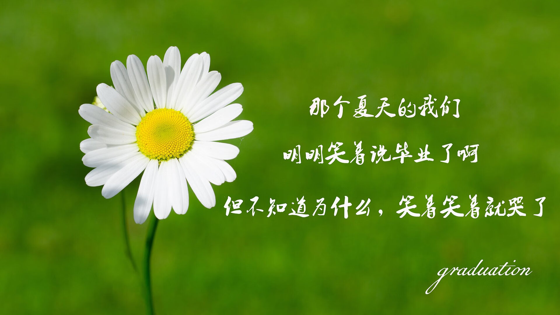 kaiyun体育综合-卡萨斯稳步提升成绩赢得认可，卡萨斯dnd