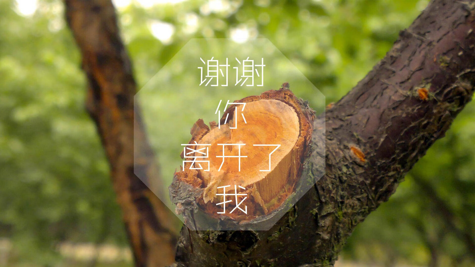 开云·体育官网-地方体育局资助基层篮球裁判提升执法水平促进赛事规范，基层篮球裁判的收入
