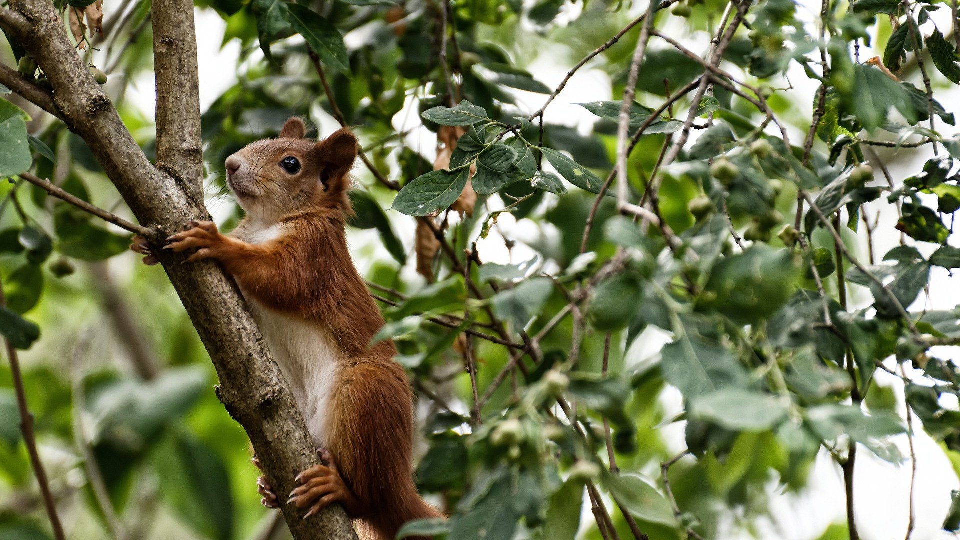 开云官方-青训体系建设纳入体育中考足球参与率稳步上升，中国足球青训大纲内容