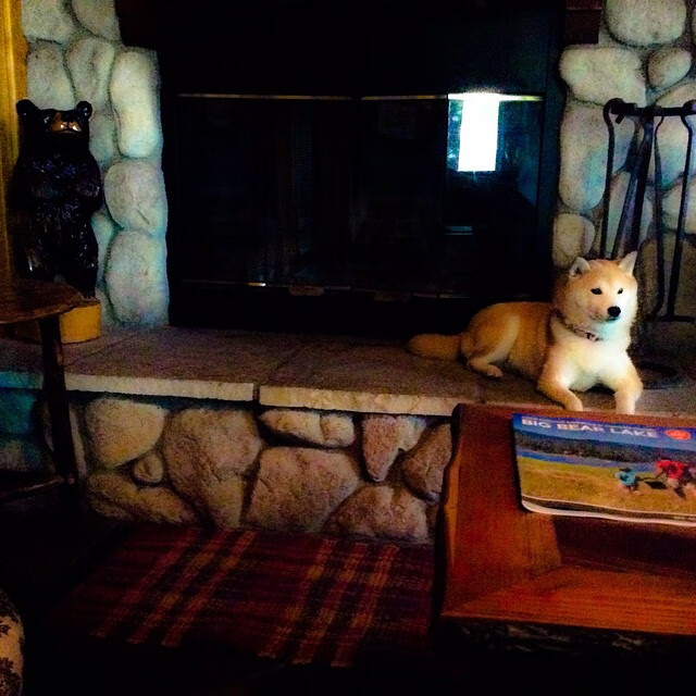 开云-马拉松赛事数据采集与分析技术提升,马拉松数据库